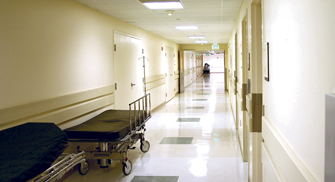 Zdrowie – „organizacja – głuptasie”!