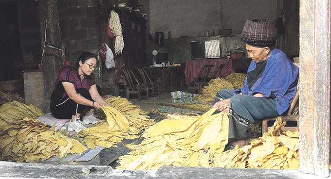 Na froncie walki z ubóstwem