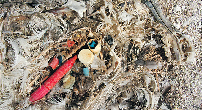 Globalny dualizm kryzysowy