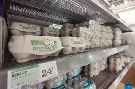 Feature: Egg shortage looms in Sweden as Ukraine crisis fuels food prices surge