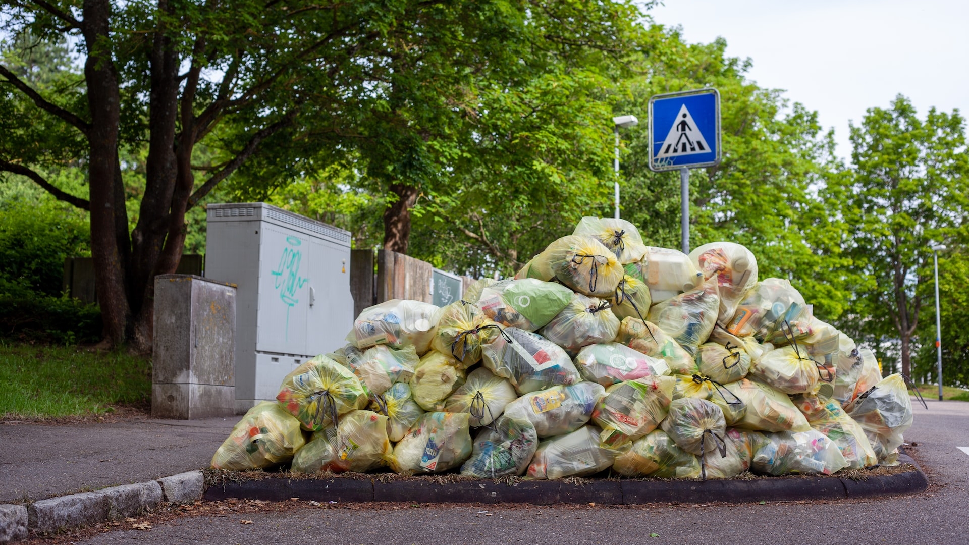 Dumpster capitalism