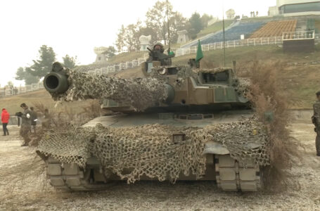 Rok w cieniu