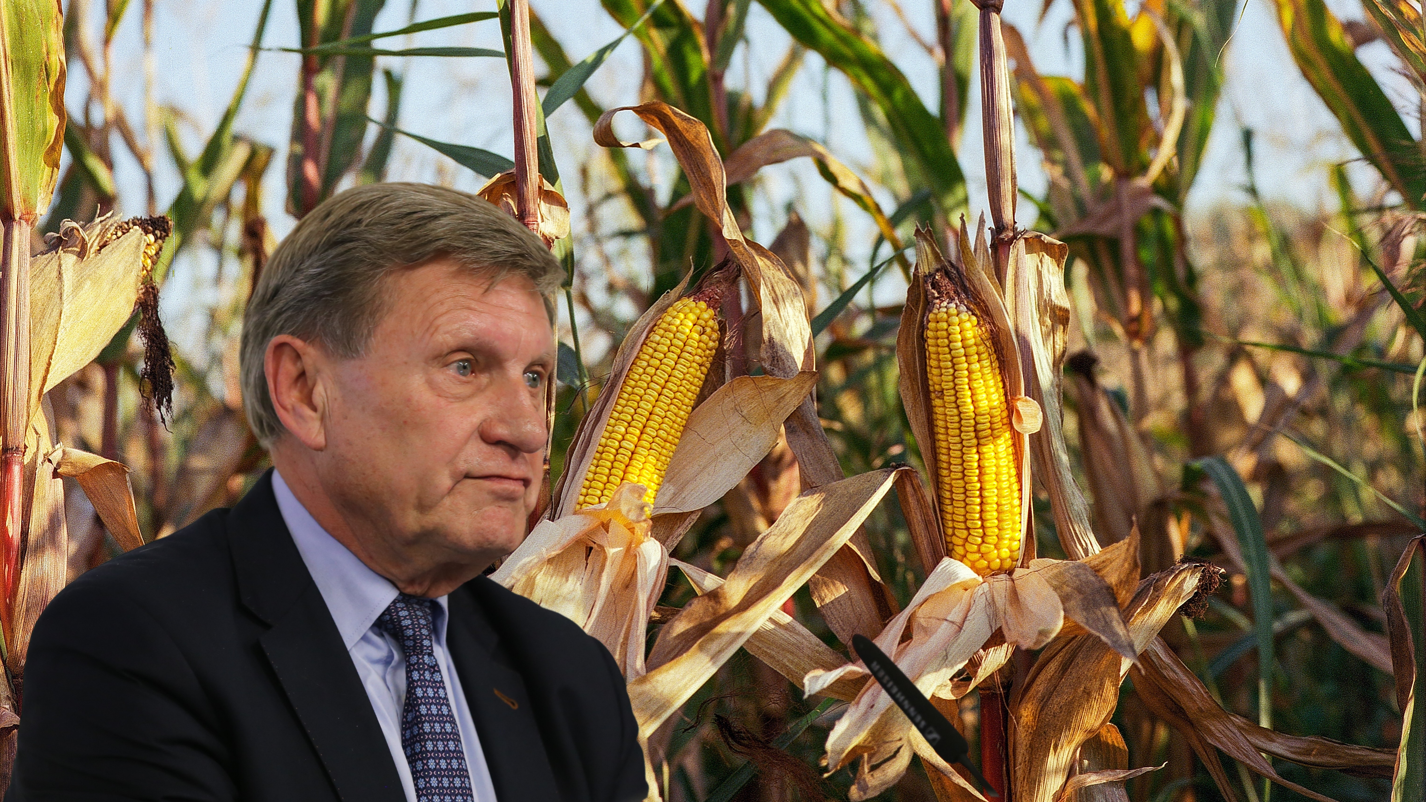 Children of corn, grandchildren of Balcerowicz