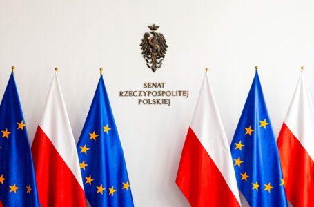 Niższa izba wyższa