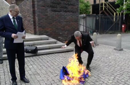 Prawica rośnie przez podział