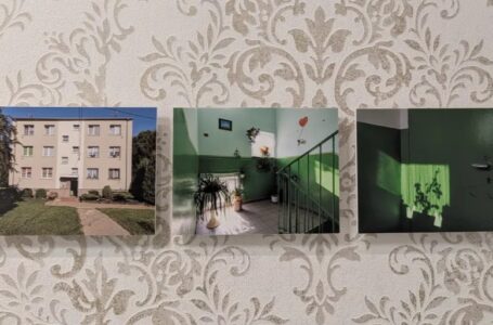 Ukryte szczątki i kwiaty w ogrodzie