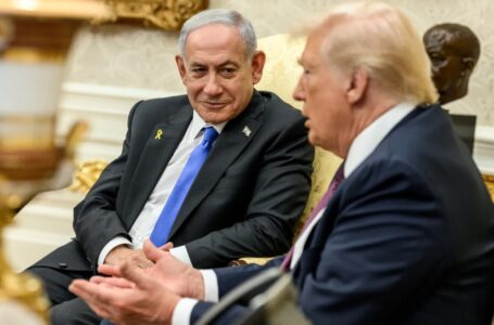 Ogon dalej merda psem