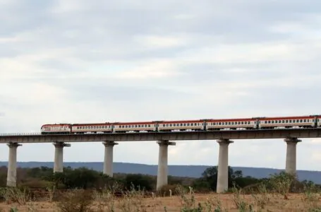 Chinese-built modern railway in Kenya lauded for its green ethos